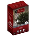 Celebrations Stay Shine Incandescent Mini Clear/Warm White 100 ct Net Christmas Lights 6 ft. 44796-71
